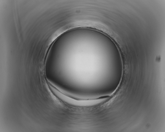 X0000090951521200708161746