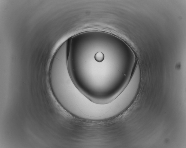 X0000090951522200708161746