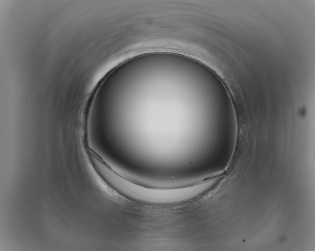 X0000090951523200708161746