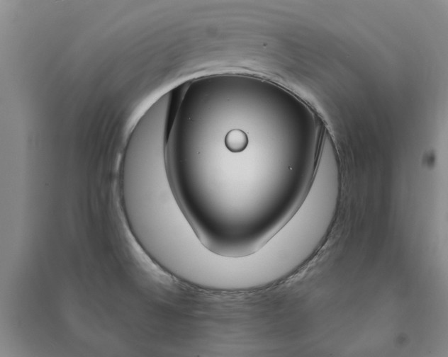 X0000090951524200708161746