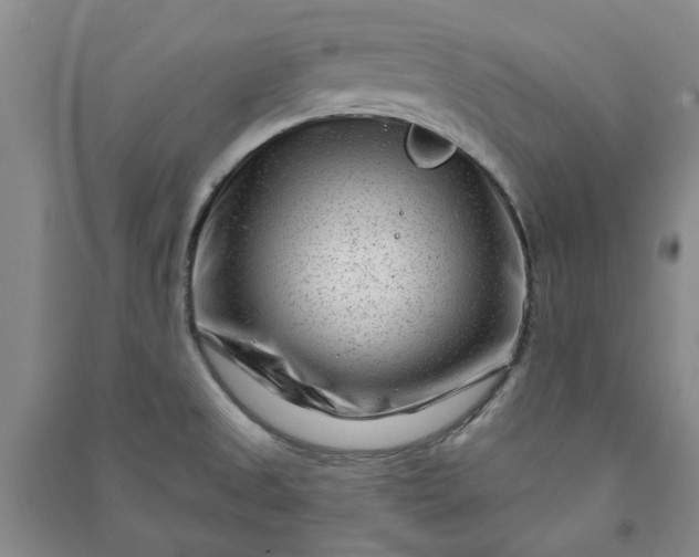 X0000090951525200708161746