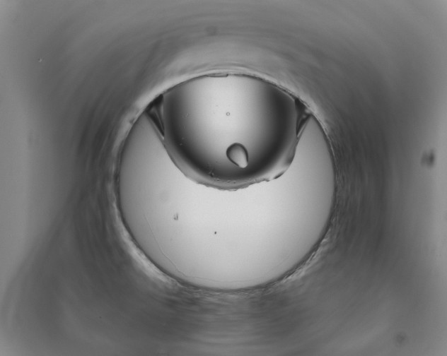 X0000090951526200708161746