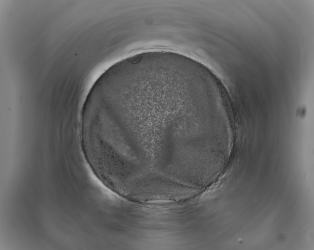 X0000090951527200708161746