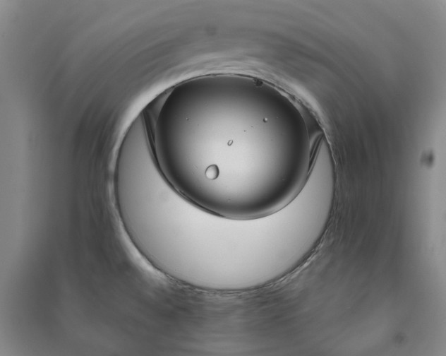 X0000090951528200708161746