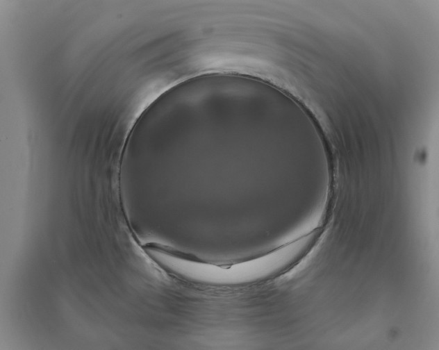 X0000090951529200708161746
