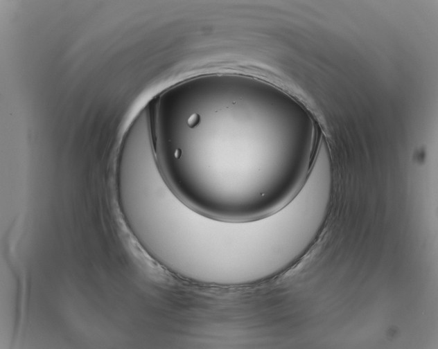 X0000090951530200708161746