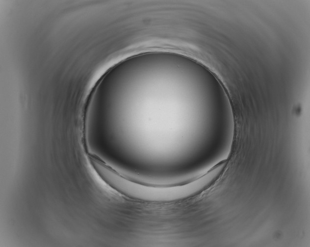 X0000090951531200708161746