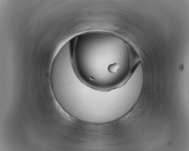 X0000090951532200708161746