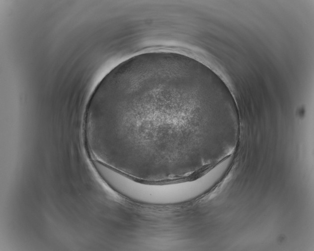 X0000090951533200708161746