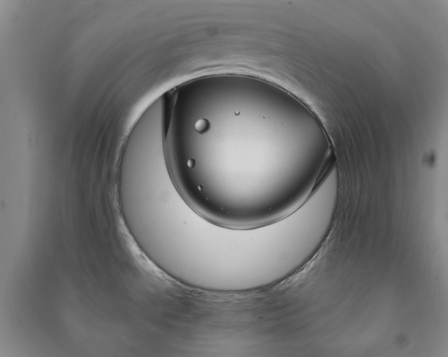 X0000090951534200708161746