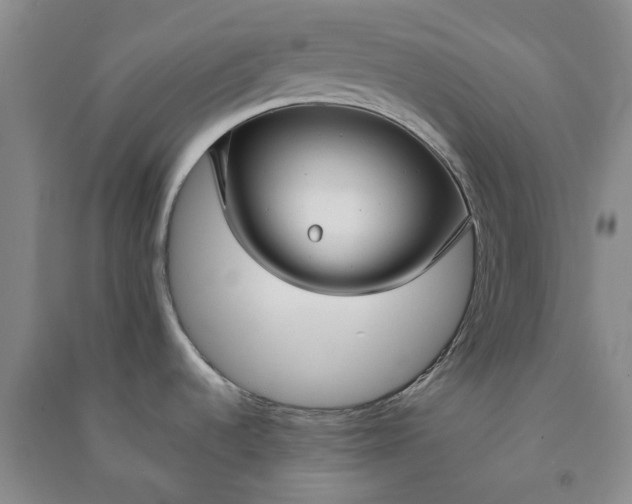 X0000090951536200708161746