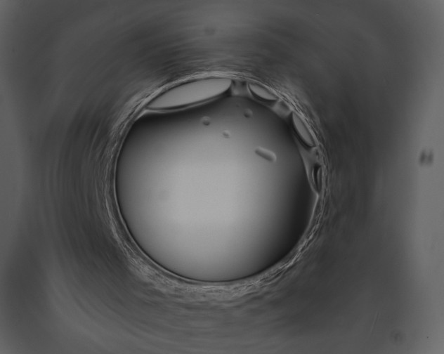 X0000090950001200708241140