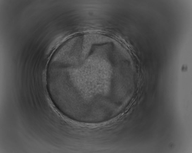 X0000090950002200708241140
