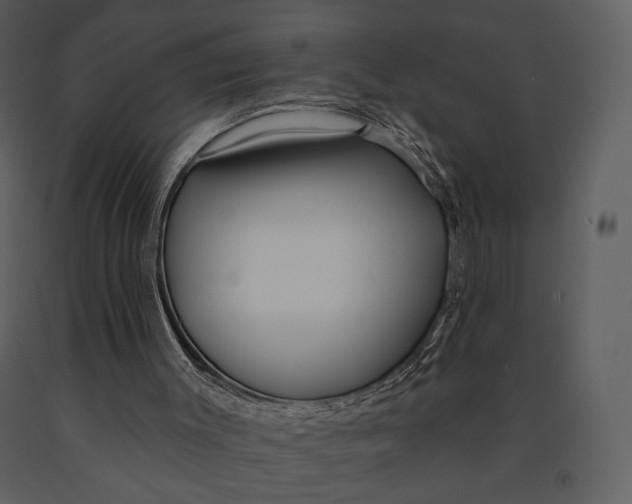 X0000090950003200708241140