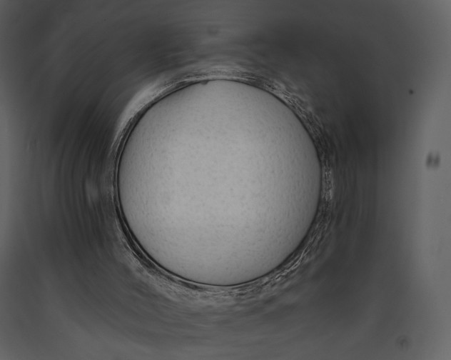 X0000090950004200708241140
