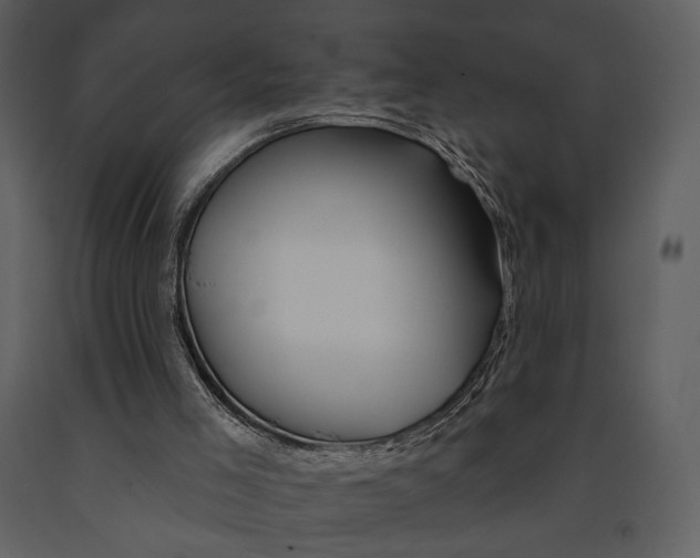 X0000090950005200708241140