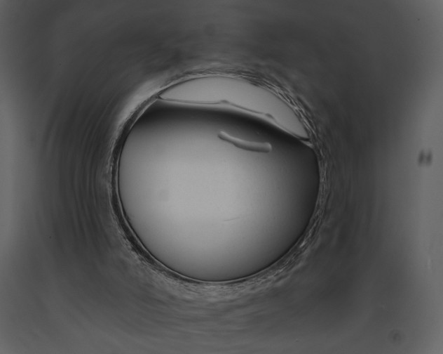 X0000090950006200708241140