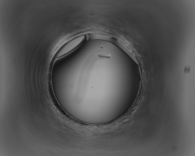 X0000090950007200708241140
