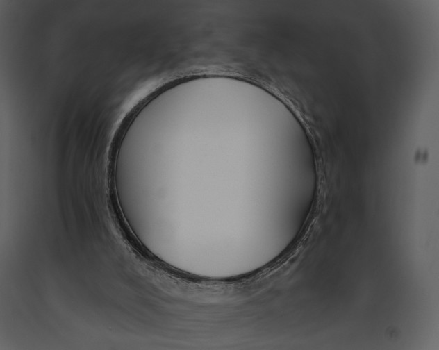 X0000090950008200708241140