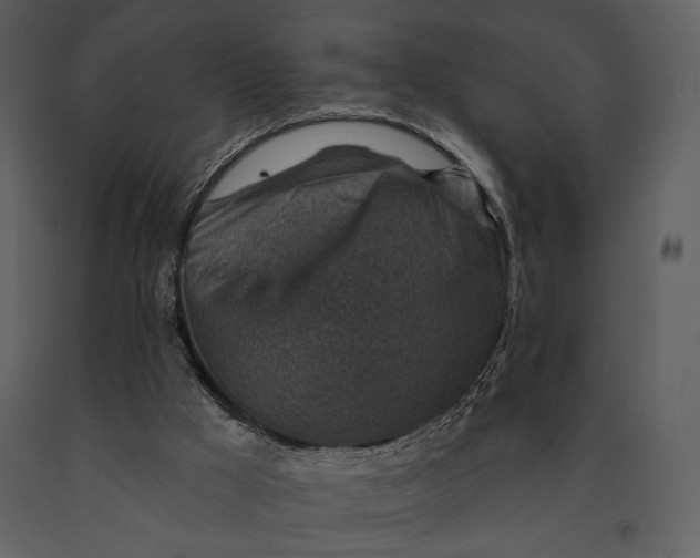 X0000090950009200708241140