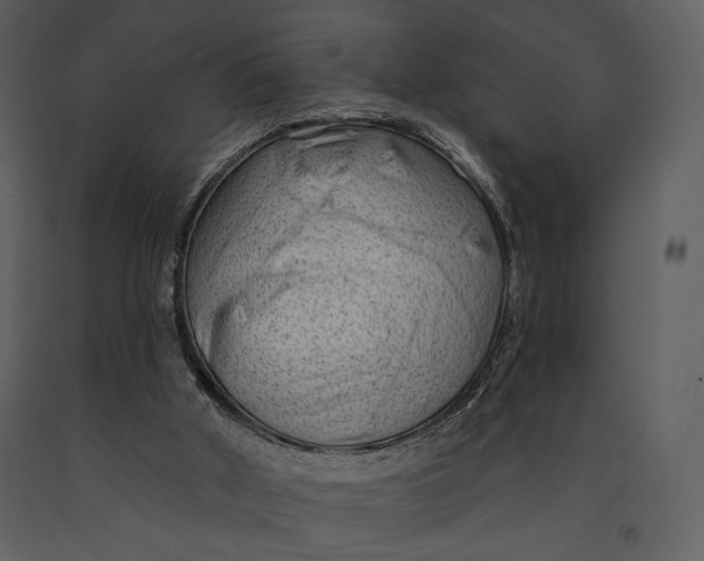 X0000090950010200708241140