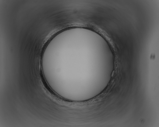 X0000090950011200708241140
