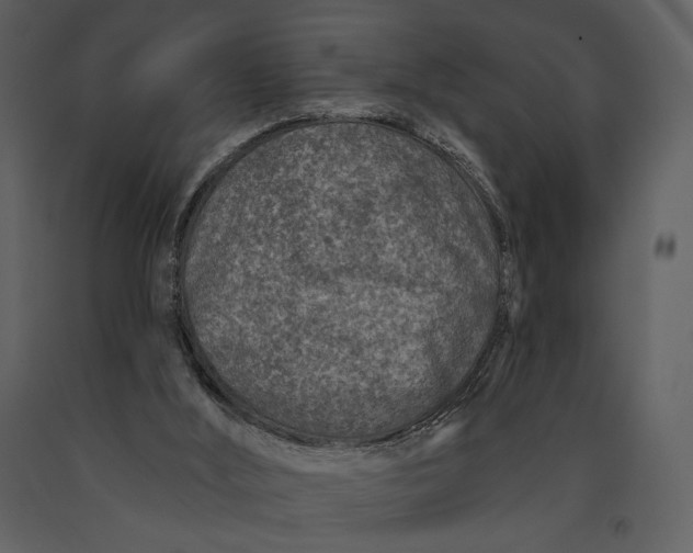 X0000090950012200708241140
