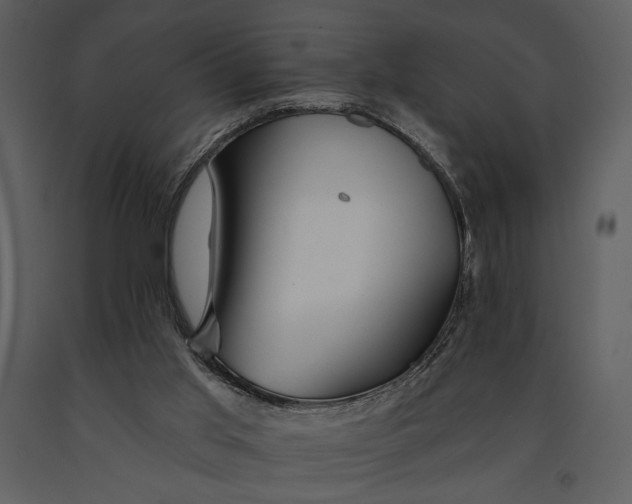 X0000090950013200708241140
