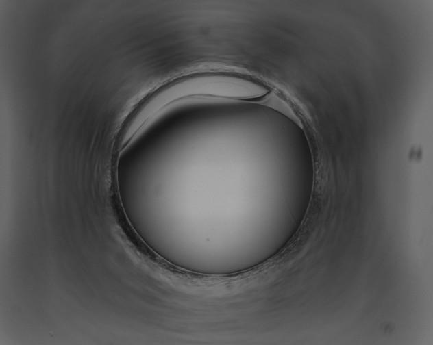 X0000090950015200708241140