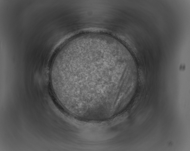 X0000090950016200708241140