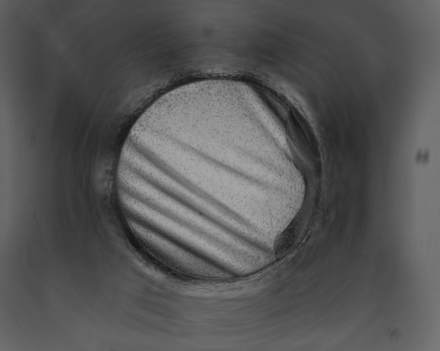 X0000090950017200708241140