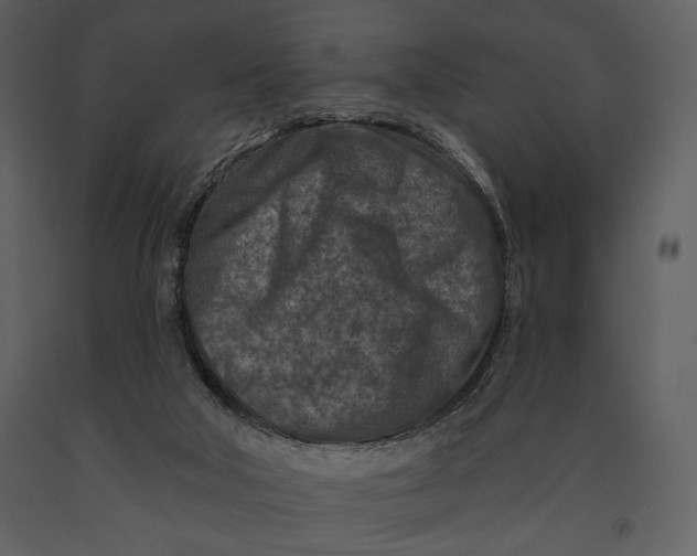 X0000090950018200708241140