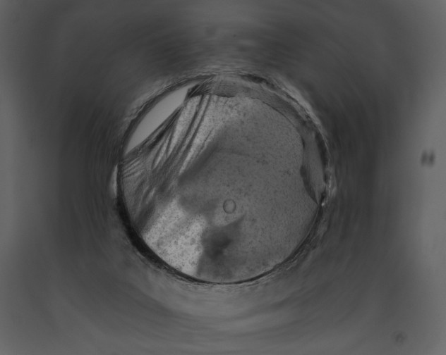X0000090950019200708241140