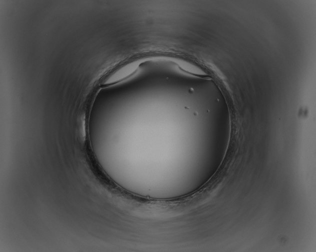 X0000090950020200708241140