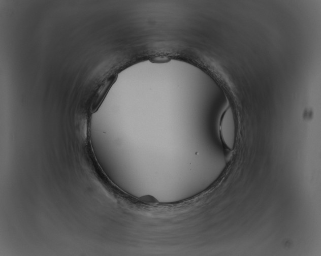 X0000090950021200708241140