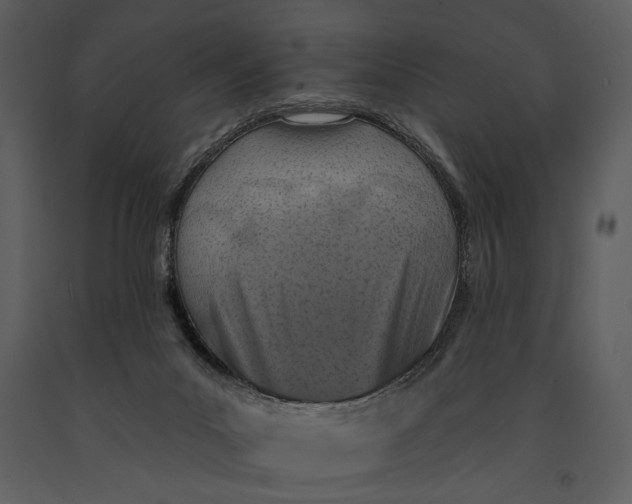 X0000090950023200708241140