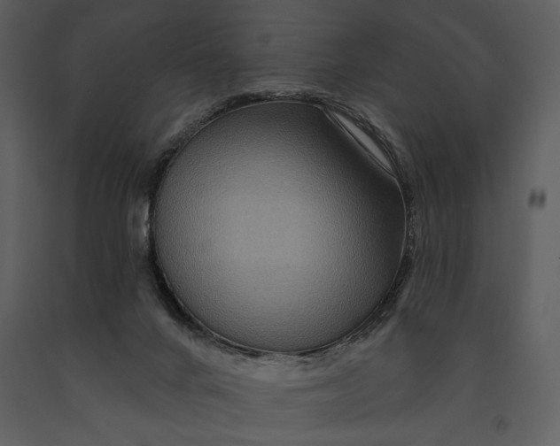 X0000090950024200708241140