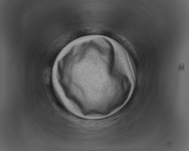X0000090950026200708241140