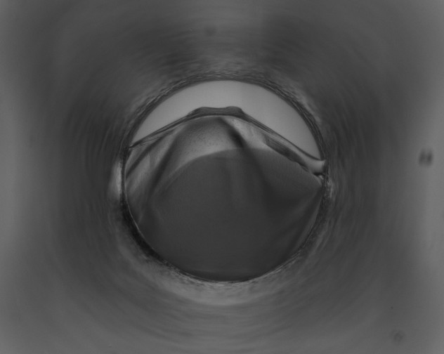 X0000090950027200708241140