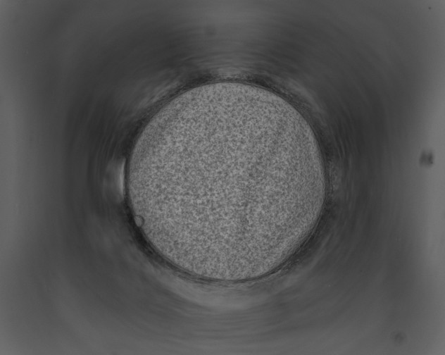 X0000090950028200708241140