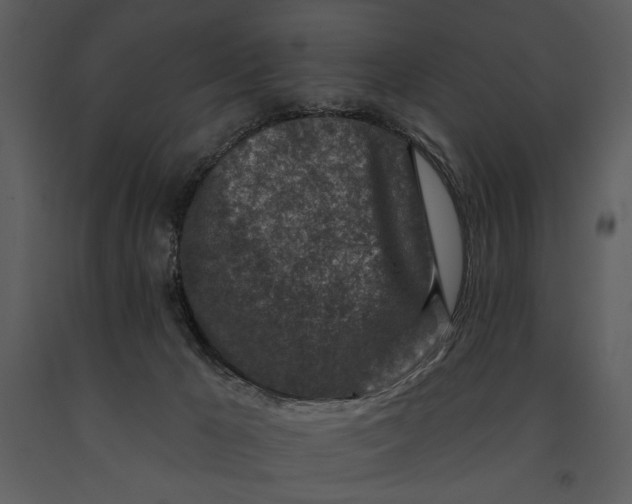 X0000090950029200708241140