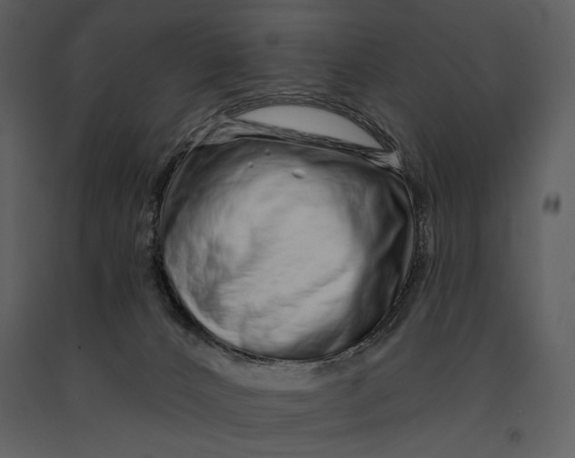 X0000090950032200708241140