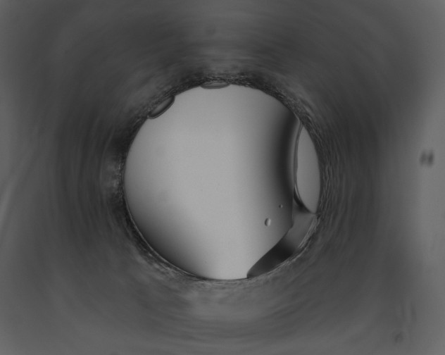 X0000090950033200708241140