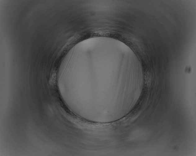 X0000090950036200708241140