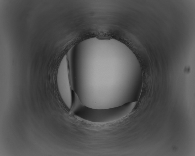 X0000090950037200708241140