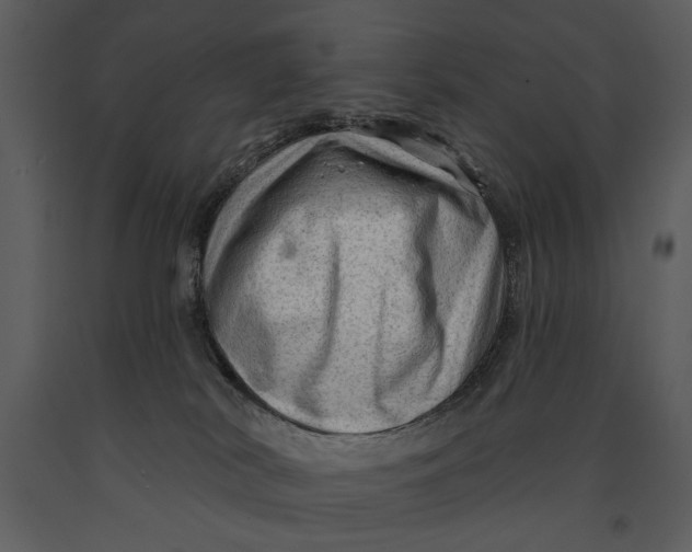 X0000090950038200708241140