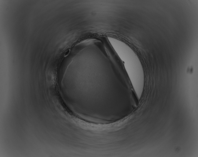 X0000090950039200708241140