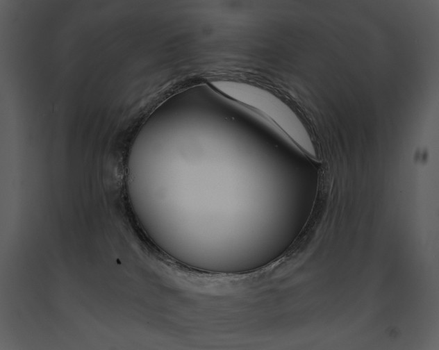 X0000090950040200708241140