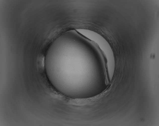 X0000090950041200708241140