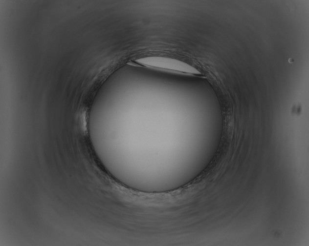 X0000090950042200708241139